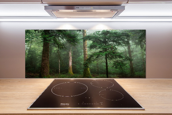 Pannello paraschizzi cucina con stampa 