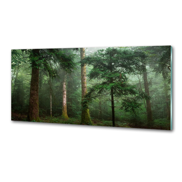 Pannello paraschizzi cucina con stampa 