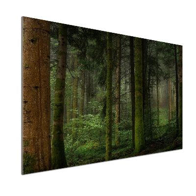 Rivestimento parete cucina con motivo 