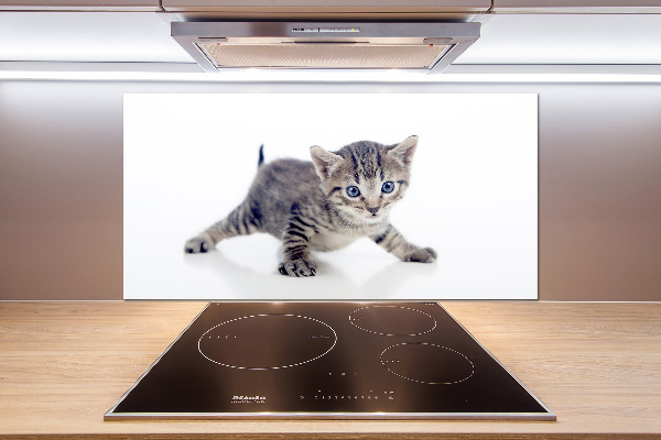 Rivestimento parete cucina con motivo gattino