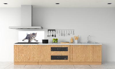 Rivestimento parete cucina con motivo gattino