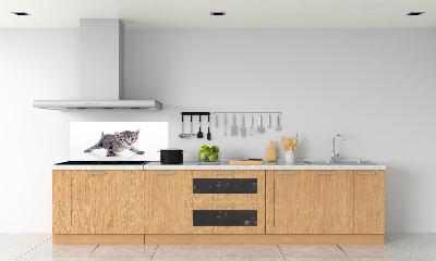 Rivestimento parete cucina con motivo gattino