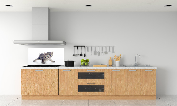 Rivestimento parete cucina con motivo gattino