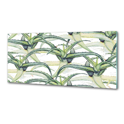 Pannello paraschizzi cucina con motivo aloe