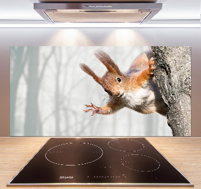 Pannello paraschizzi cucina con disegno di scoiattolo