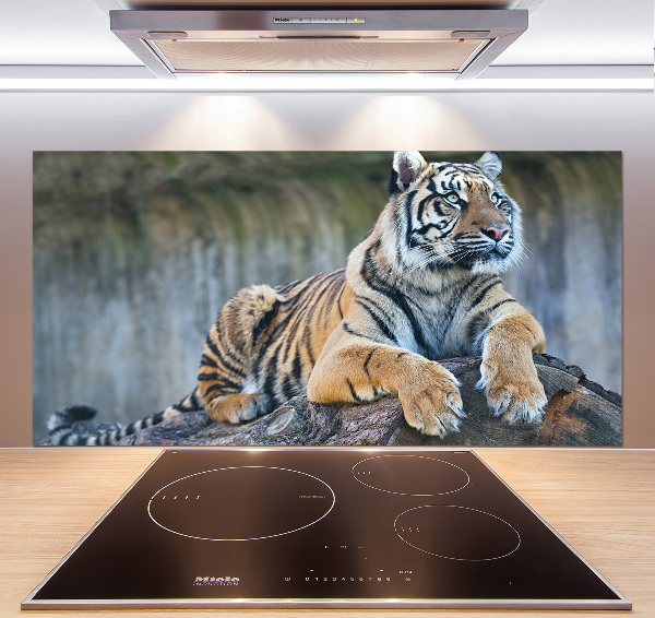 Rivestimento parete cucina con motivo a tigre