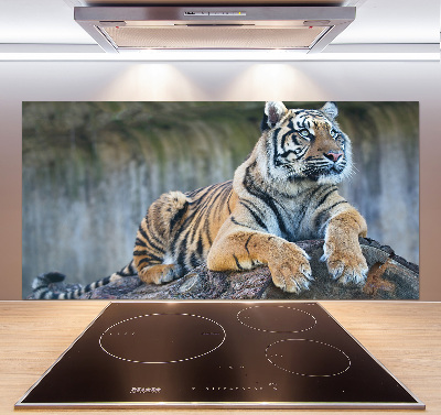 Rivestimento parete cucina con motivo a tigre
