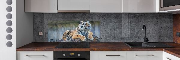 Rivestimento parete cucina con motivo a tigre