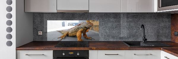 Pannello paraschizzi cucina con motivo Iguana