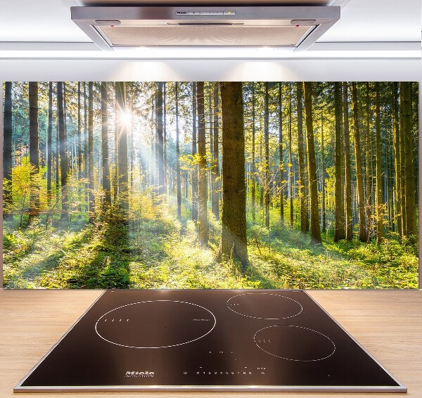 Pannello paraschizzi cucina con stampa 