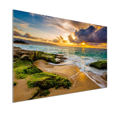 Pannello paraschizzi cucina con stampa 