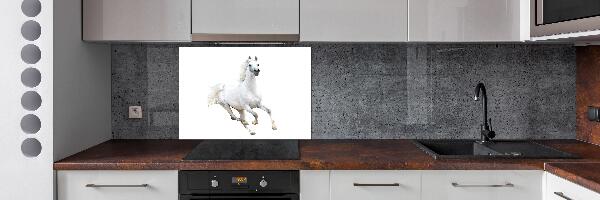 Pannello retrocucina con stampa di un cavallo arabo bianco
