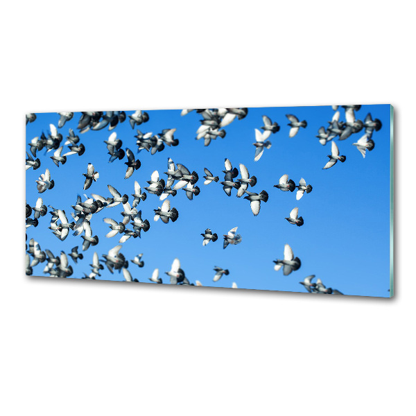 Pannello paraschizzi cucina con stampa raffigurante uno stormo di piccioni