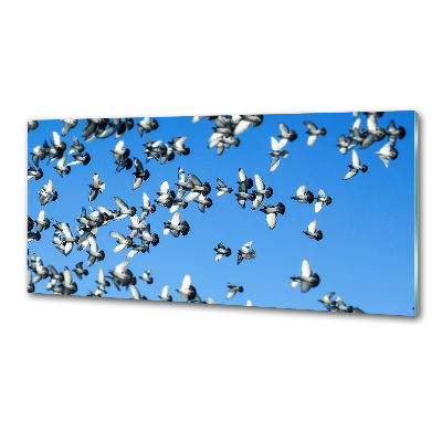 Pannello paraschizzi cucina con stampa raffigurante uno stormo di piccioni