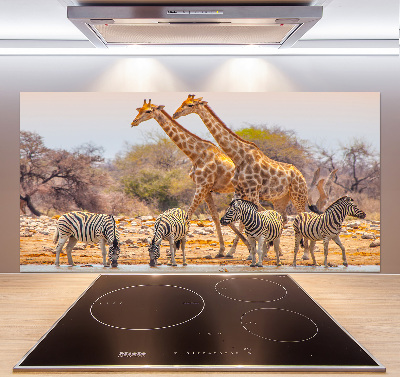 Rivestimento parete cucina con motivo giraffe e zebre