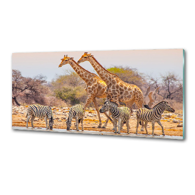 Rivestimento parete cucina con motivo giraffe e zebre