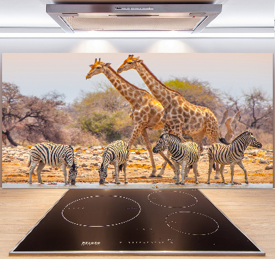 Rivestimento parete cucina con motivo giraffe e zebre