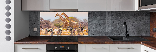 Rivestimento parete cucina con motivo giraffe e zebre