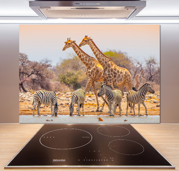 Rivestimento parete cucina con motivo giraffe e zebre