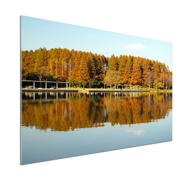 Pannello paraschizzi cucina con stampa raffigurante una foresta sulla riva del lago