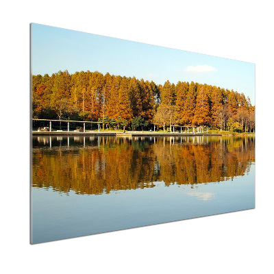 Pannello paraschizzi cucina con stampa raffigurante una foresta sulla riva del lago