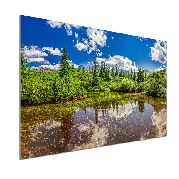 Rivestimento parete cucina con stampa raffigurante un lago nella foresta