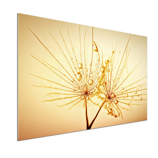 Pannello retrocucina con motivo a semi di tarassaco