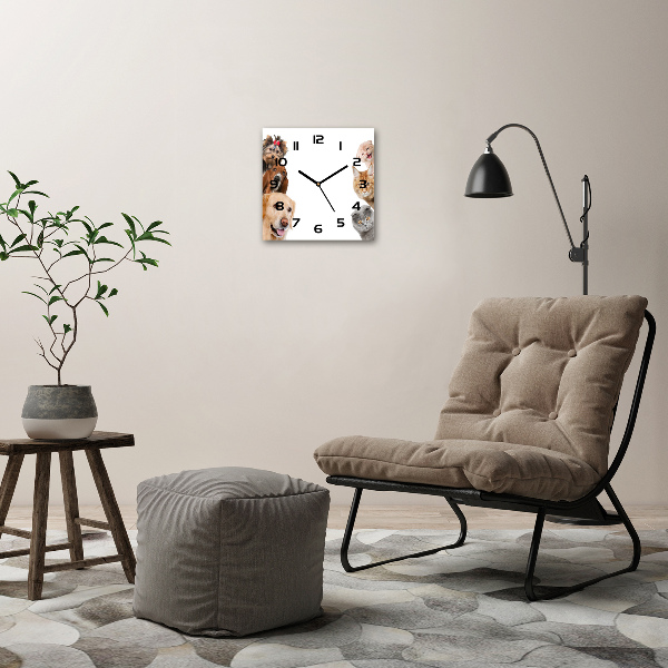 Orologio da parete quadrato con motivo di cani e gatti