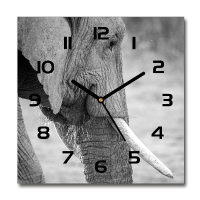 Orologio da parete quadrato con motivo elefante