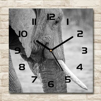 Orologio da parete quadrato con motivo elefante