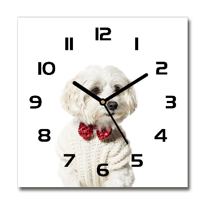 Orologio quadrato in vetro con motivo maltese che indossa un papillon