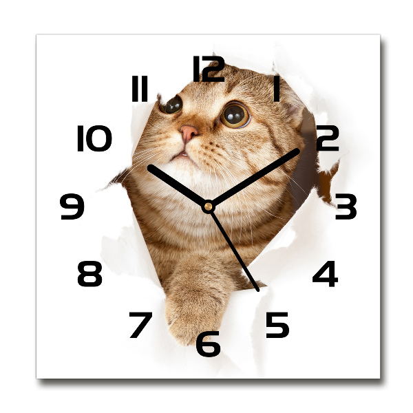 Orologio da parete quadrato con motivo a gatto