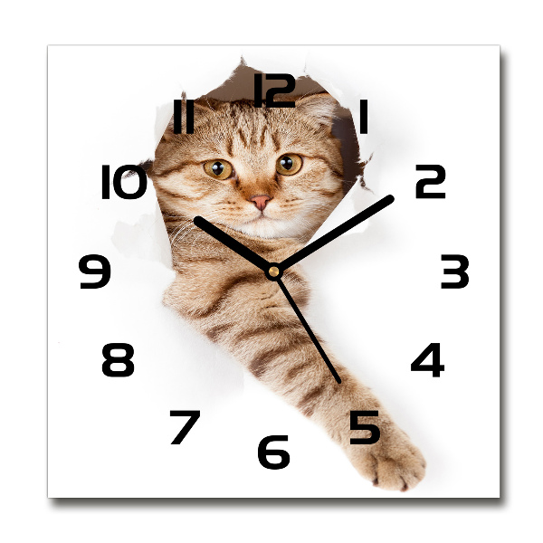 Orologio da parete quadrato con motivo a gatto