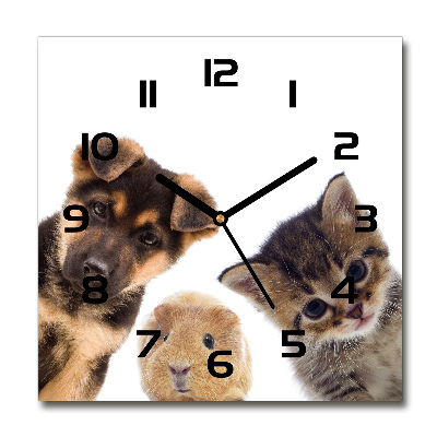 Orologio quadrato con motivo a tema animali domestici