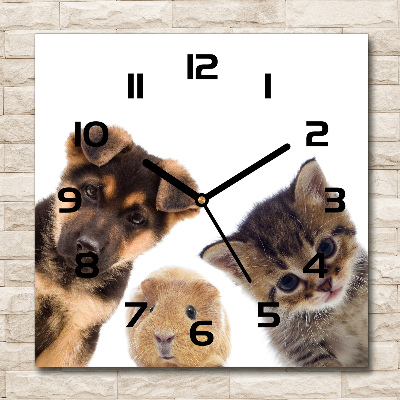 Orologio quadrato con motivo a tema animali domestici
