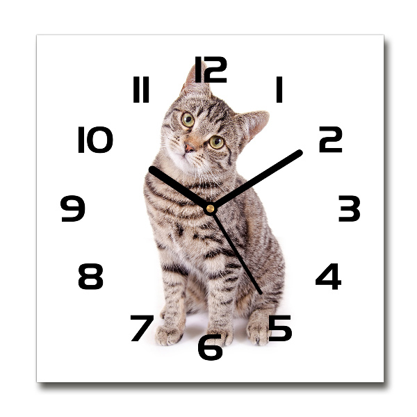 Orologio da parete quadrato con motivo a gatto