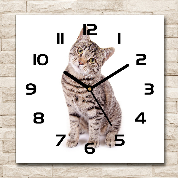 Orologio da parete quadrato con motivo a gatto