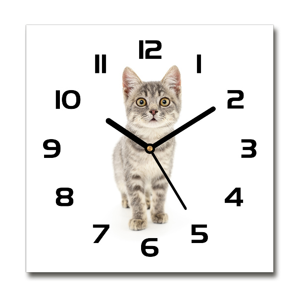 Orologio quadrato in vetro con motivo di gatto grigio
