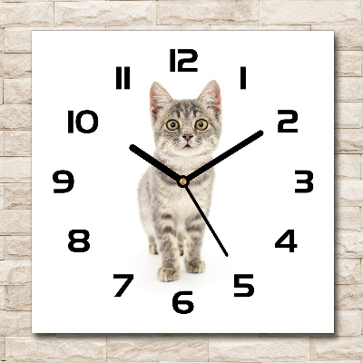 Orologio quadrato in vetro con motivo di gatto grigio