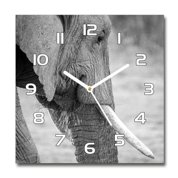 Orologio quadrato con motivo a elefante