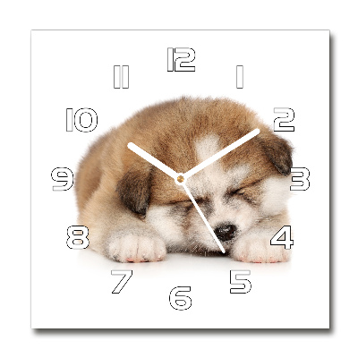 Orologio quadrato con motivo Cucciolo di Akita
