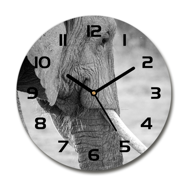 Orologio rotondo con motivo elefante