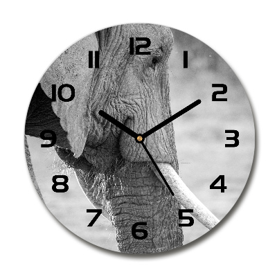 Orologio rotondo con motivo elefante