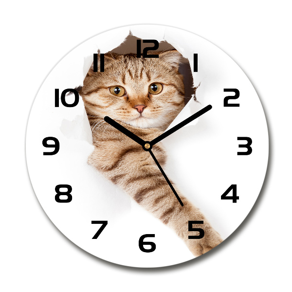 Orologio rotondo con stampa di gatto