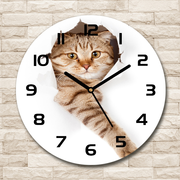 Orologio rotondo con stampa di gatto