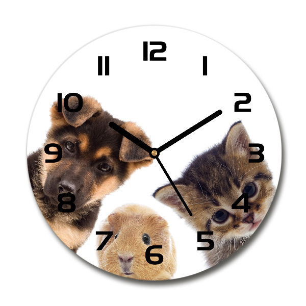 Orologio rotondo in vetro con motivo di animali domestici