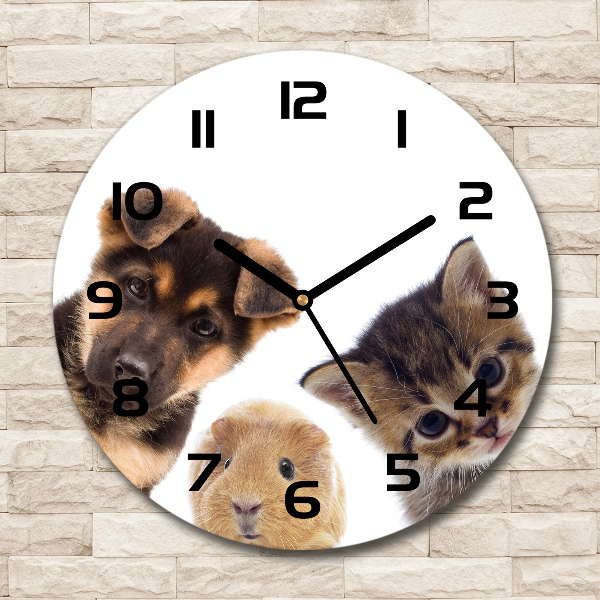 Orologio rotondo in vetro con motivo di animali domestici