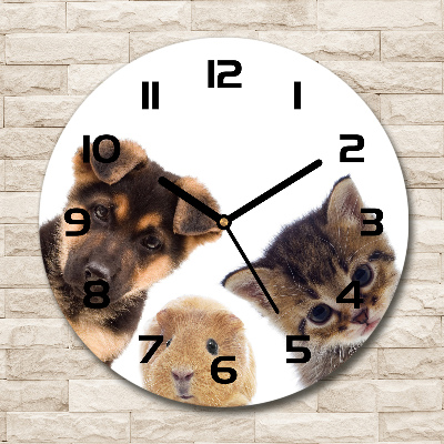 Orologio rotondo in vetro con motivo di animali domestici