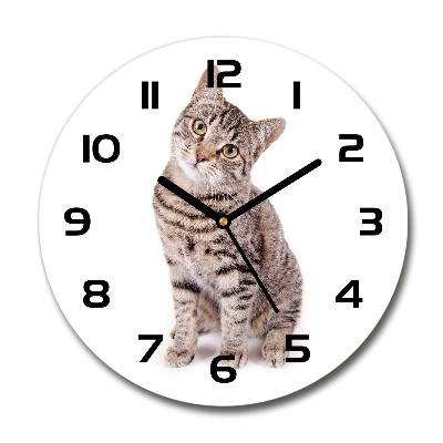 Orologio da parete rotondo con motivo gatto