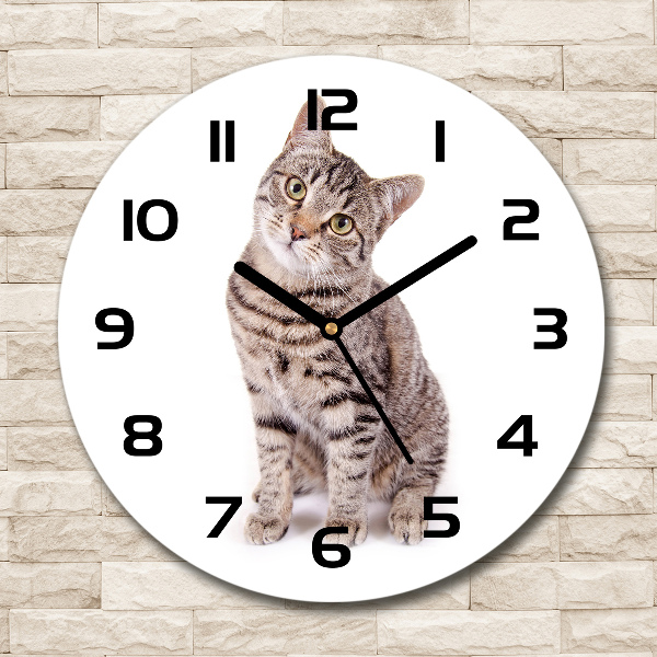 Orologio da parete rotondo con motivo gatto